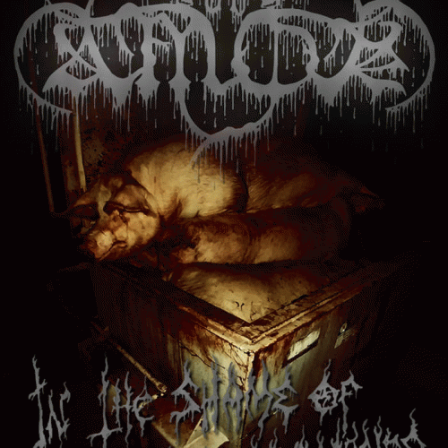 Path Ov Amok : In the shame of this putrid existence